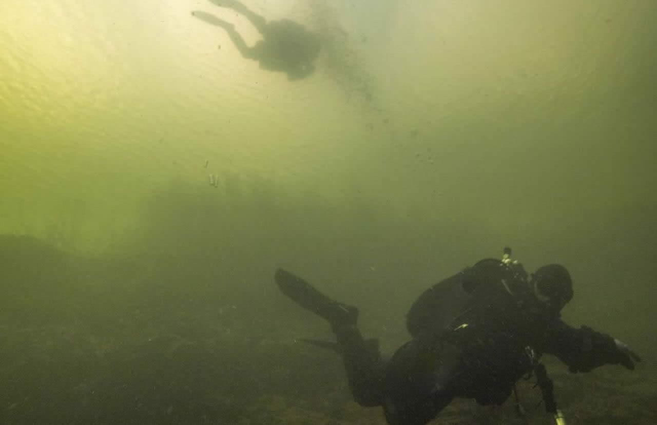 Zdjęcia podwodne cd